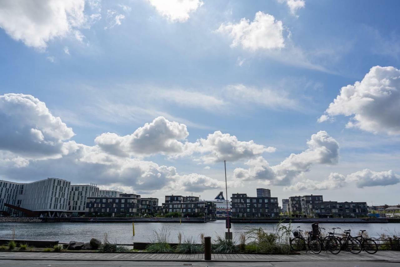 A Fantastic Duplex In Nordhavn Kopenhagen